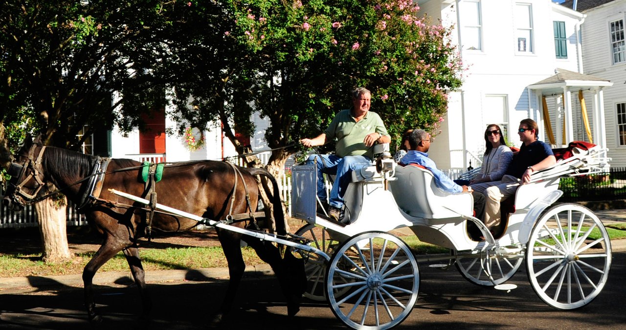 Mississippi-Natchez-Horse-And-Carriage-medium